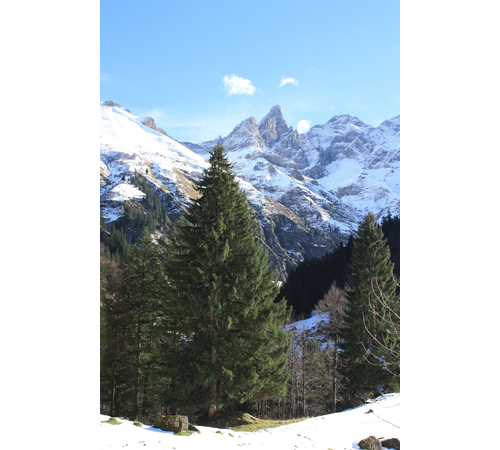 November 2012 im Allgäu (7)